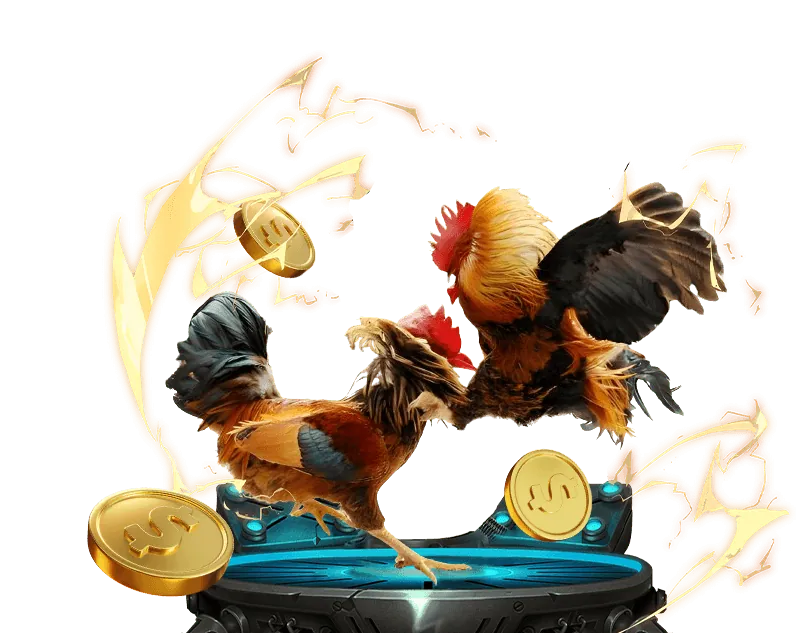 Quy tắc và các loại kèo cược đá gà